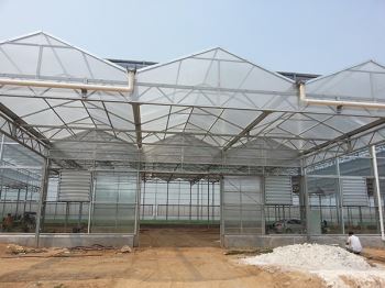 阳光板温室